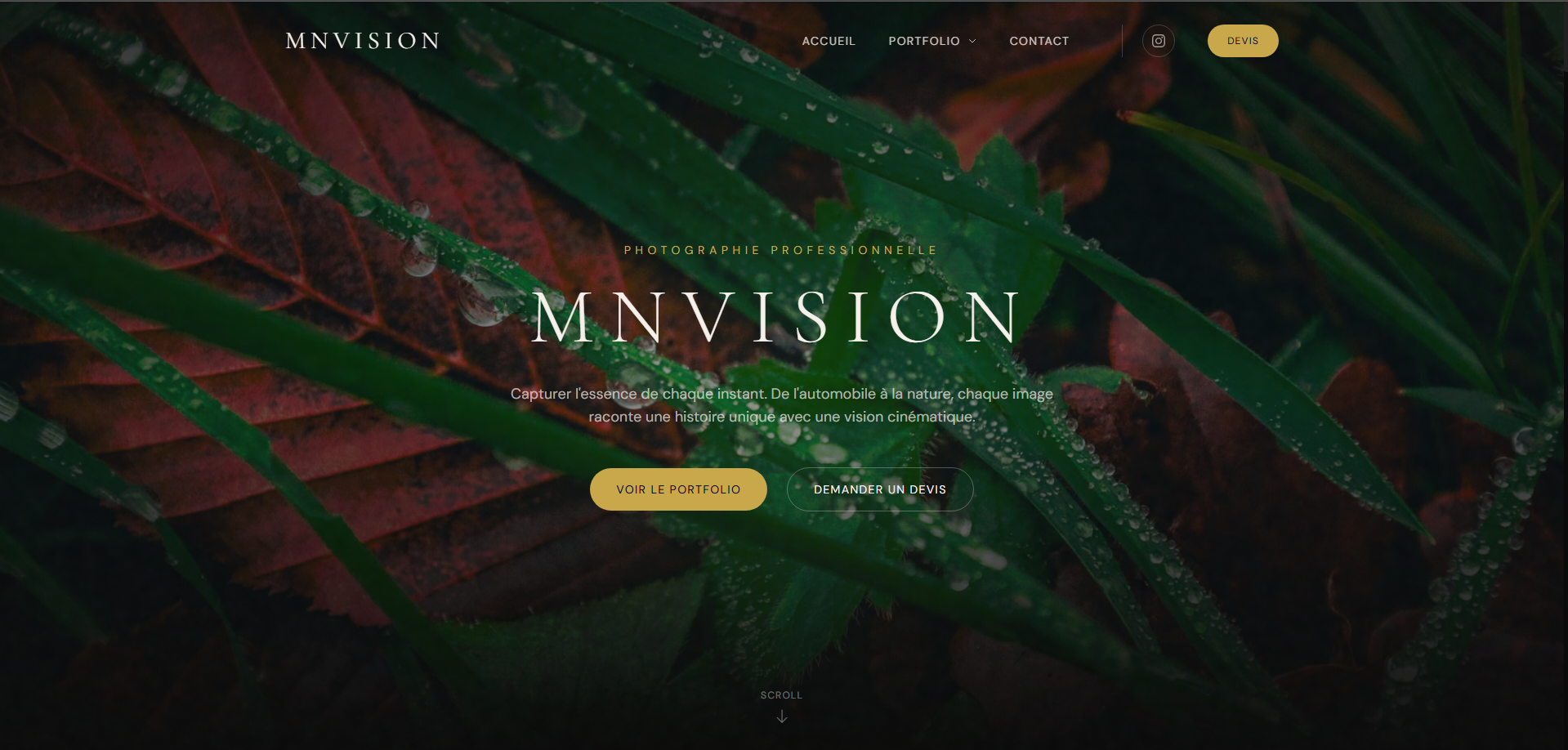 MN Vision Photography